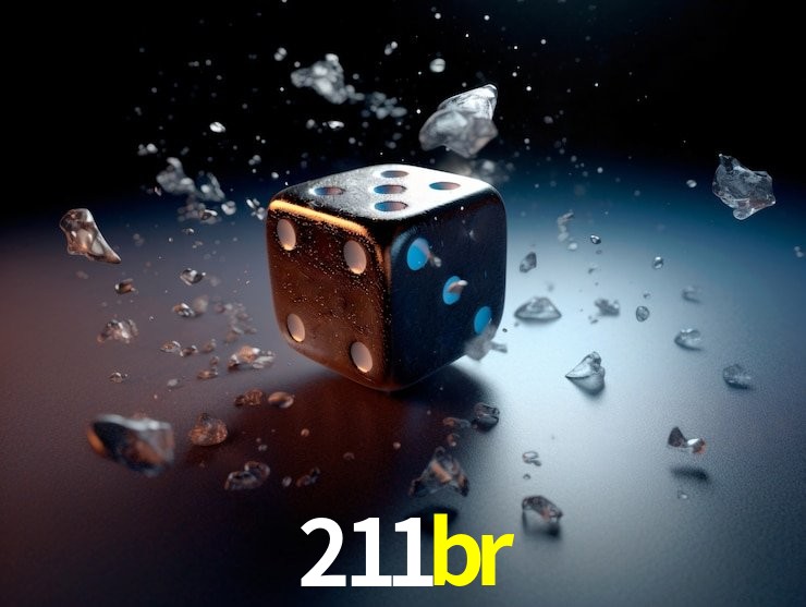 API Integration 211br